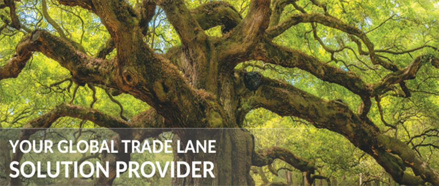AsstrA is Your global trade lane solution provider